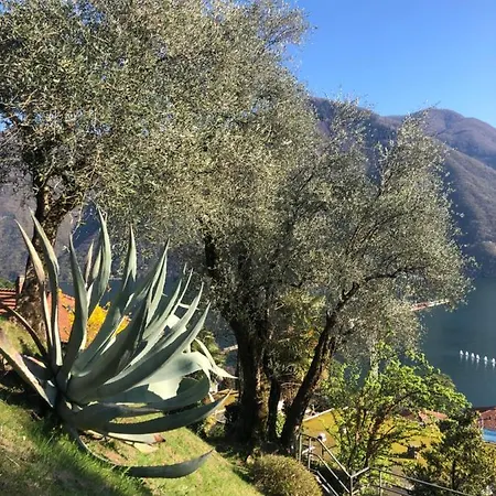 Frühstückspension Feelings 3*