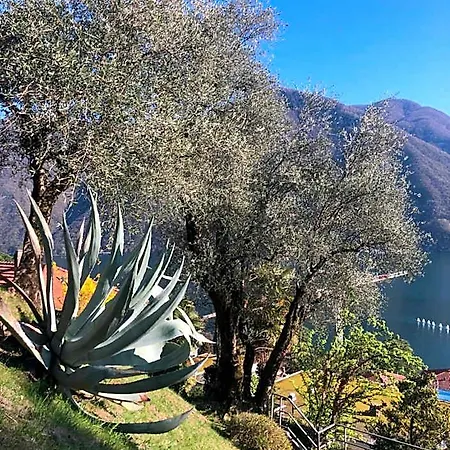 Feelings 3* Lugano