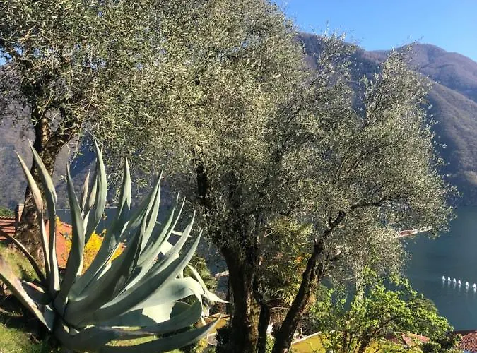 לינה וארוחת בוקר Feelings 3*